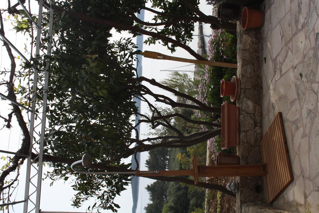 Villa Marijam Hvar Town Bagian luar foto